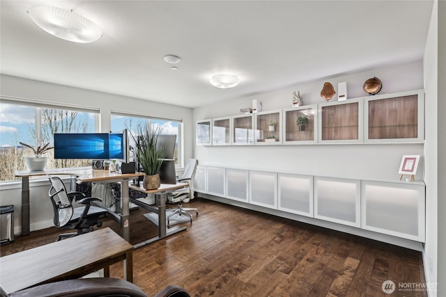 office area featuring dark wood-type flooring