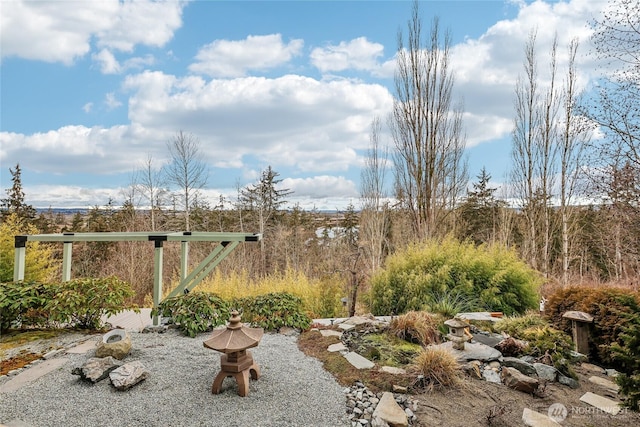 view of yard