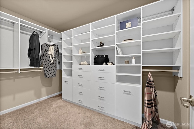 spacious closet featuring light colored carpet