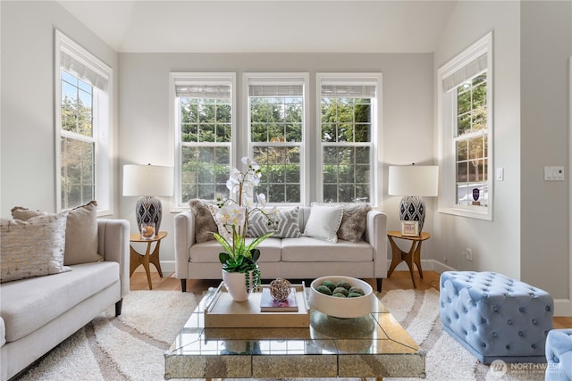 living room featuring hardwood / wood-style flooring and vaulted ceiling