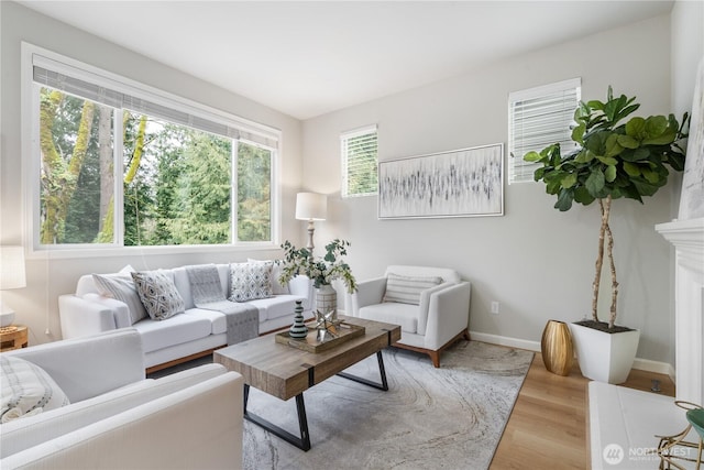 living room featuring light hardwood / wood-style flooring