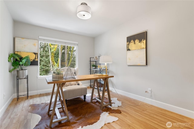 office area featuring hardwood / wood-style flooring