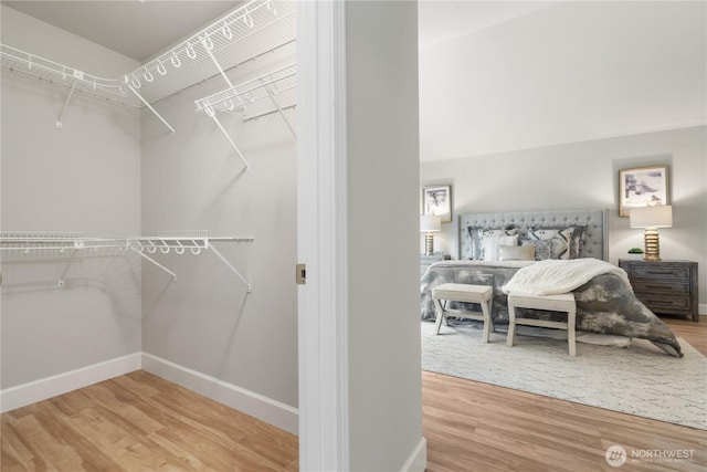 spacious closet with wood-type flooring