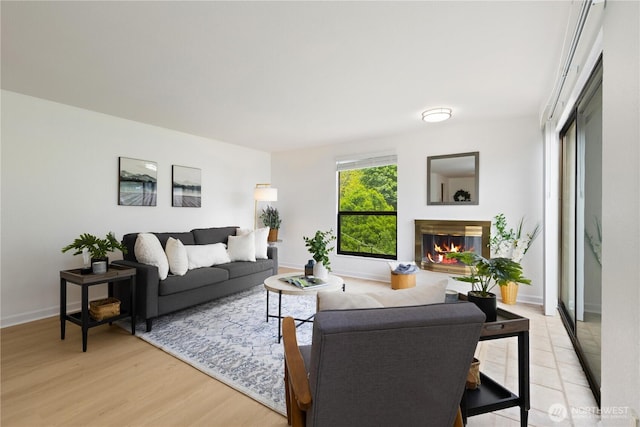 3710 25th Pl W Unit 401, Seattle, WA 98199 - living area featuring a glass covered fireplace, light wood-style flooring, and baseboards
