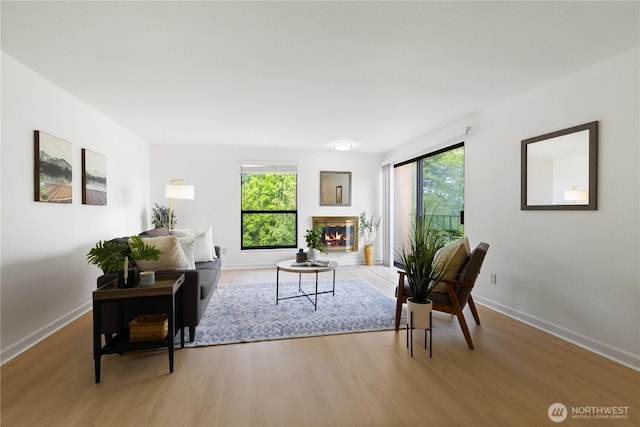3710 25th Pl W Unit 401, Seattle, WA 98199 - living area with light wood-style floors, baseboards, and a glass covered fireplace