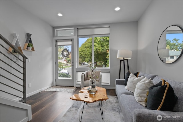 living room with dark wood-type flooring