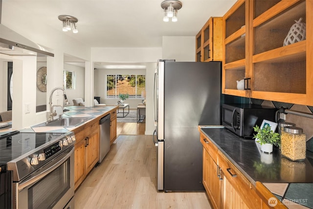 kitchen featuring appliances with stainless steel finishes, sink, light hardwood / wood-style floors, and wall chimney exhaust hood