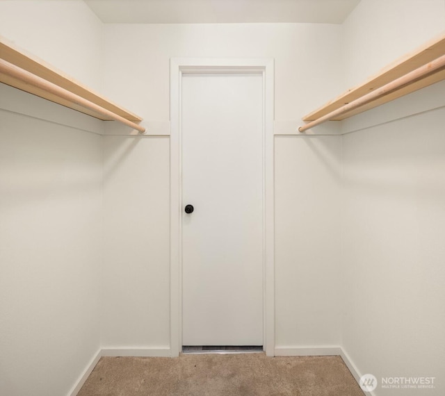 spacious closet featuring carpet floors