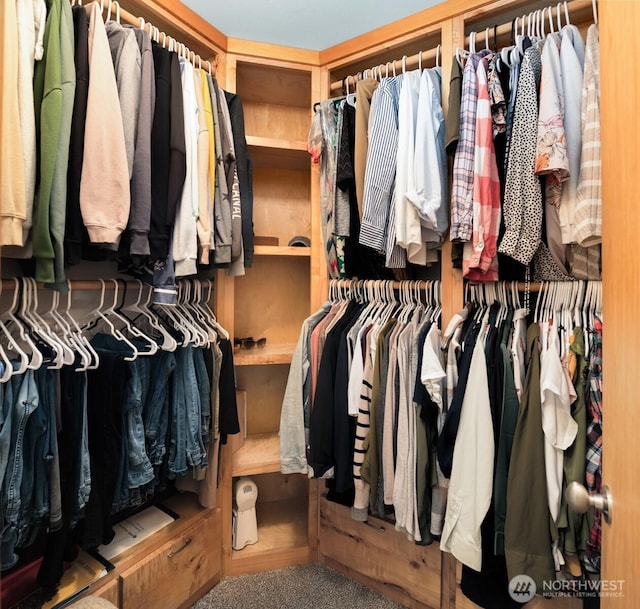 view of walk in closet