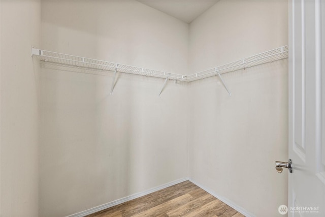 5401 Parkside Dr SE, Lacey, WA 98503 - spacious closet featuring light wood-style flooring