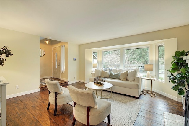 living room with dark hardwood / wood-style flooring and a wealth of natural light