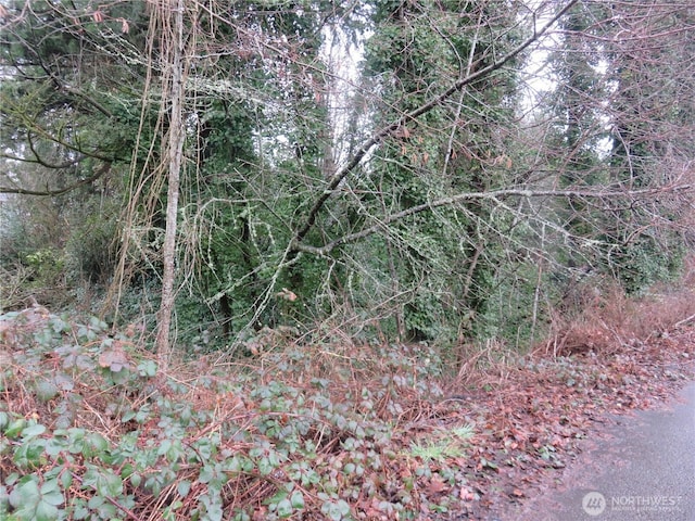 Listing photo 3 for 1700LOT1 12 Th Ave SE, Olympia WA 98501