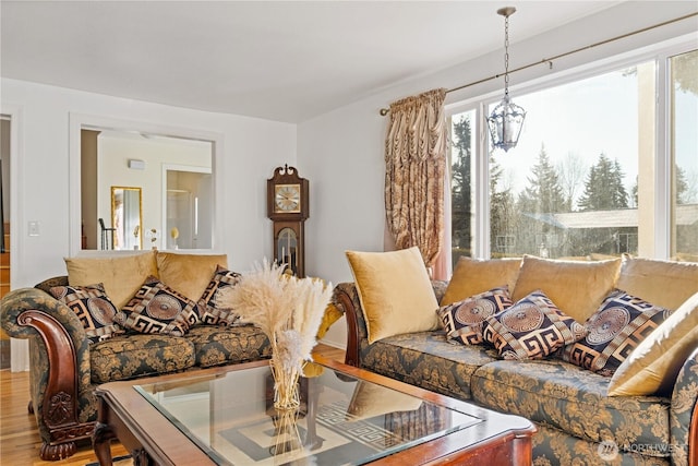 living room with hardwood / wood-style flooring