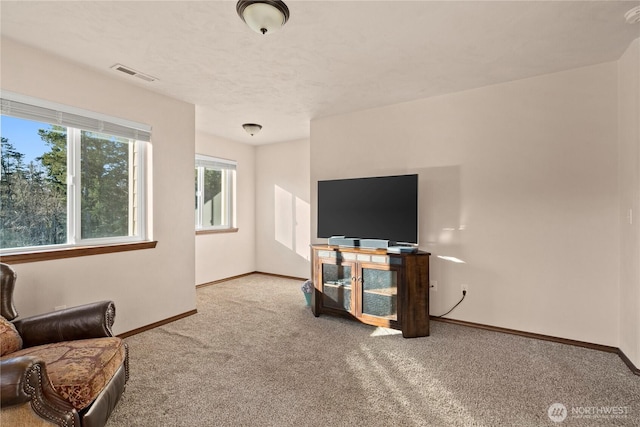 sitting room with carpet