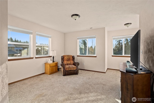 sitting room with light carpet