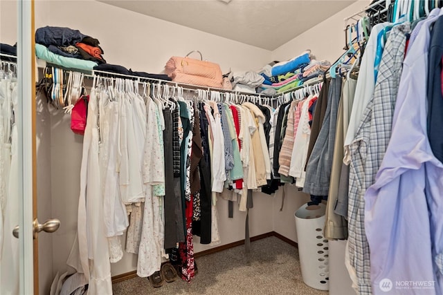 walk in closet featuring carpet floors