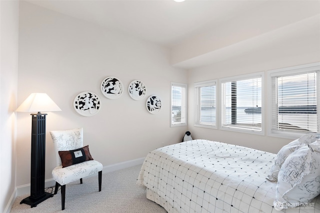 bedroom with light carpet