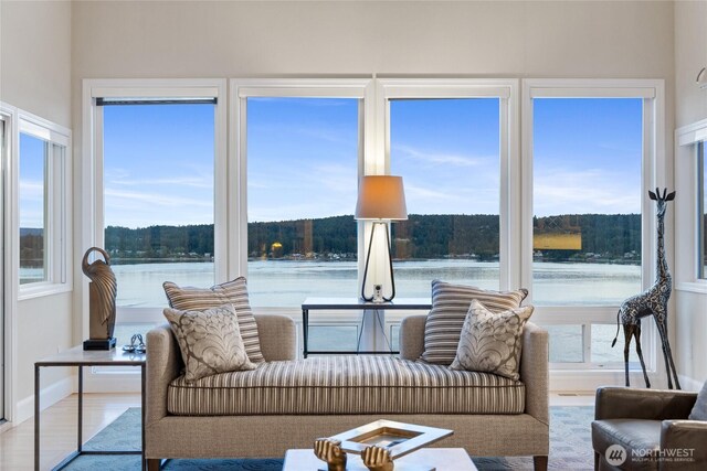 14 33rd Avenue Ct NW, Gig Harbor, WA 98335 - photo 3