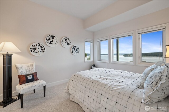 14 33rd Avenue Ct NW, Gig Harbor, WA 98335 - photo 33