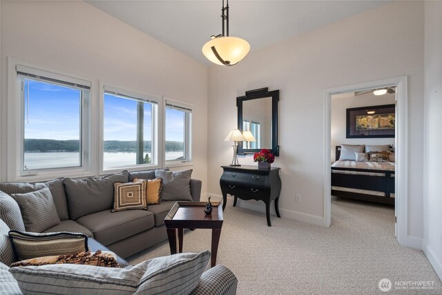 14 33rd Avenue Ct NW, Gig Harbor, WA 98335 - photo 34