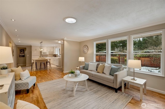 living room with crown molding, a textured ceiling, and light hardwood / wood-style floors