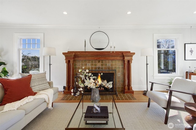 living room featuring a fireplace and crown molding