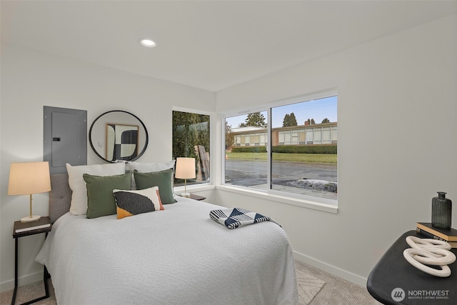 carpeted bedroom featuring electric panel