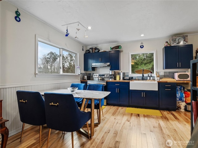 kitchen with a wealth of natural light, blue cabinetry, sink, and light wood-type flooring