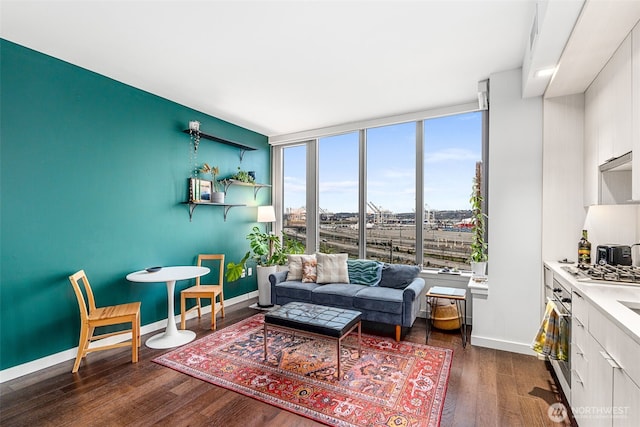 living area with floor to ceiling windows, dark wood finished floors, and baseboards