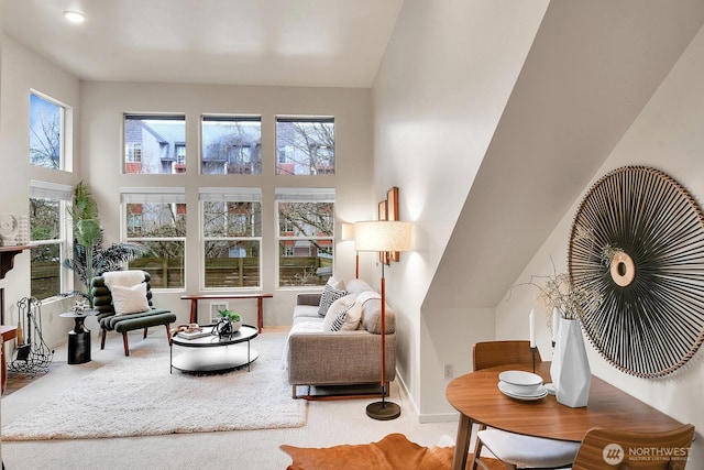 living area featuring carpet floors and a high ceiling