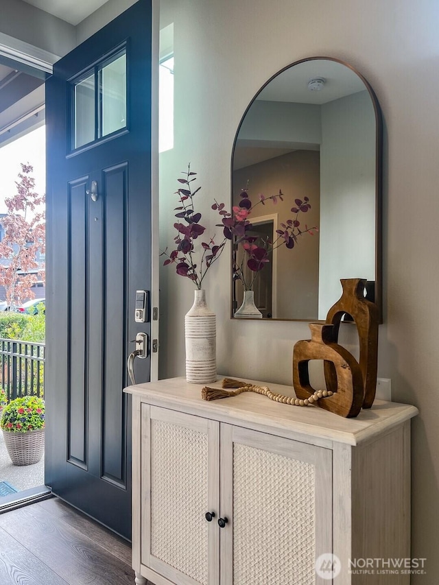 entryway with wood finished floors and a healthy amount of sunlight