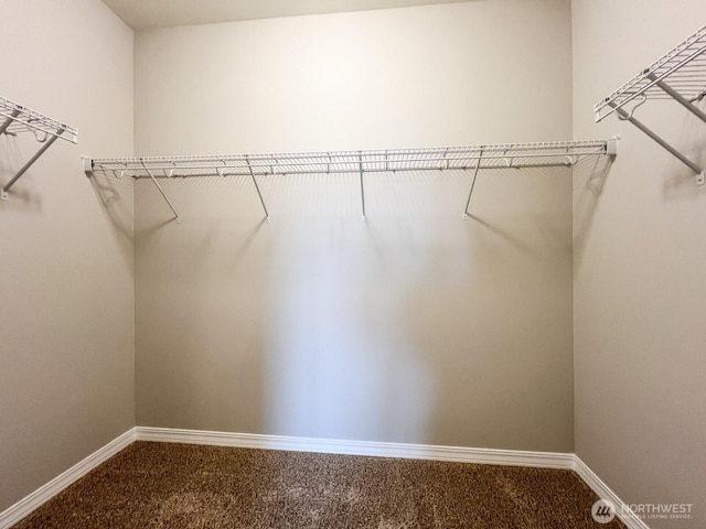 spacious closet featuring dark colored carpet