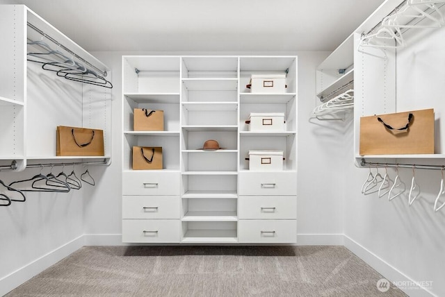 spacious closet featuring light colored carpet