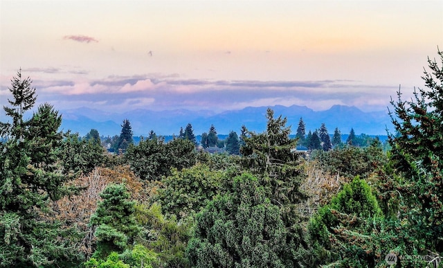 property view of mountains featuring a forest view