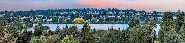 water view with a forest view