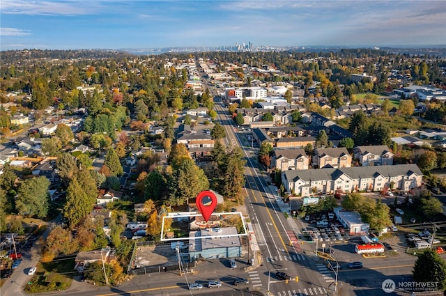 drone / aerial view