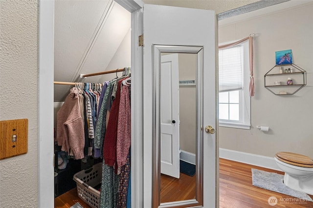 spacious closet with hardwood / wood-style flooring