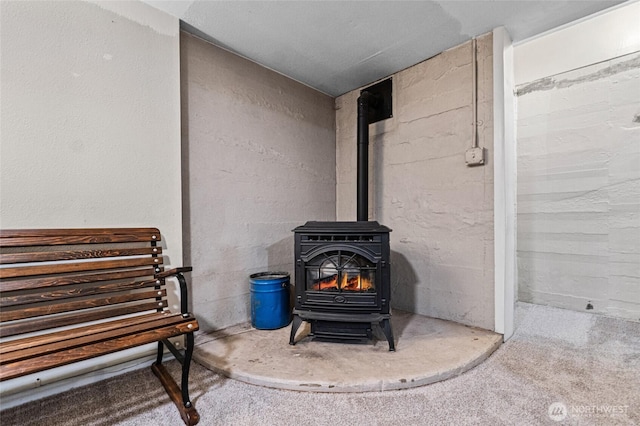 404 N Maple St, Colville, WA 99114 - detailed view of a wood stove and carpet flooring