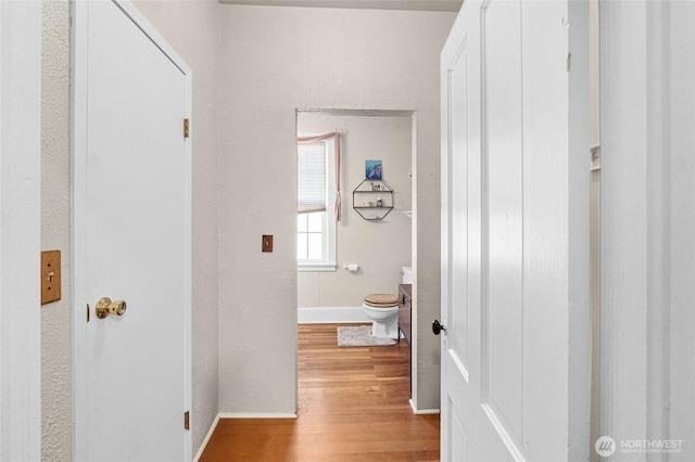404 N Maple St, Colville, WA 99114 - corridor featuring wood finished floors and baseboards