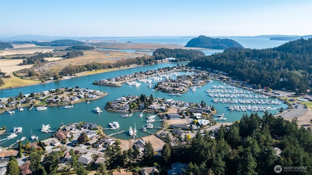 birds eye view of property featuring a water view