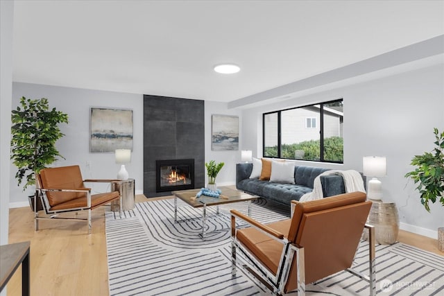 living room featuring a fireplace and light wood-type flooring