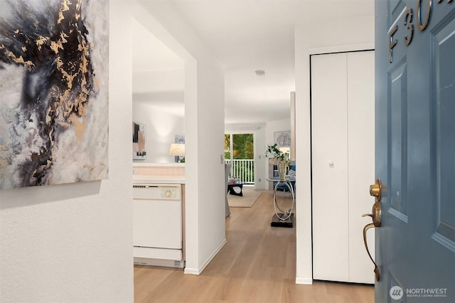 foyer entrance featuring light wood-style flooring