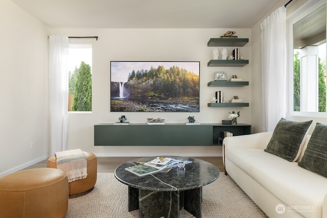 living room featuring hardwood / wood-style floors and plenty of natural light
