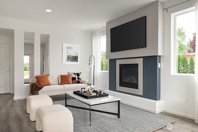 living room with hardwood / wood-style flooring