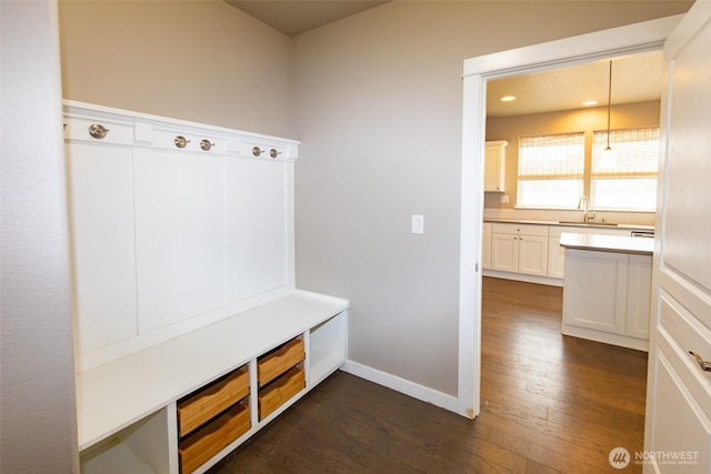 mudroom featuring dark wood-type flooring and sink