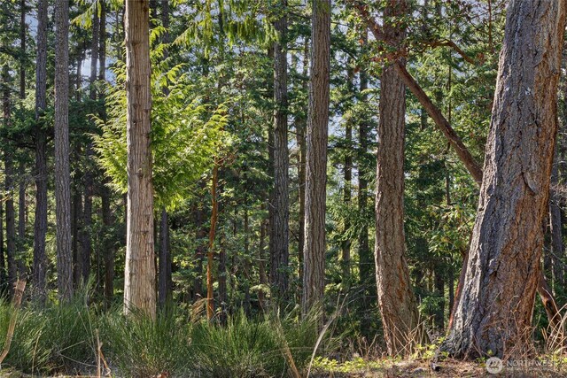 0LOT3 Quiet Pl, Friday Harbor, WA 98250