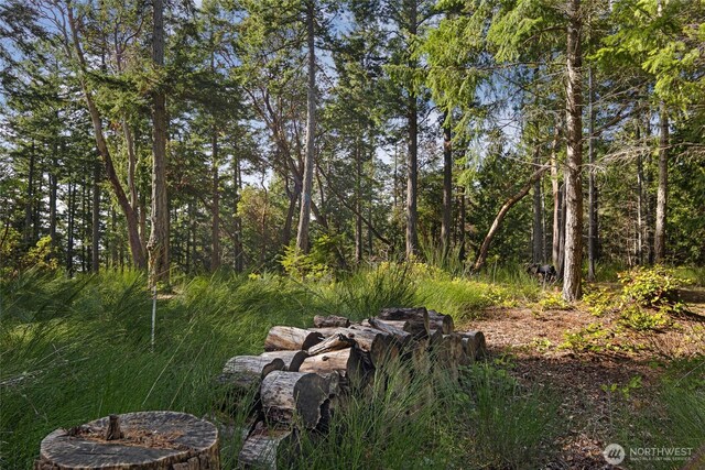 0LOT3 Quiet Pl, Friday Harbor, WA 98250