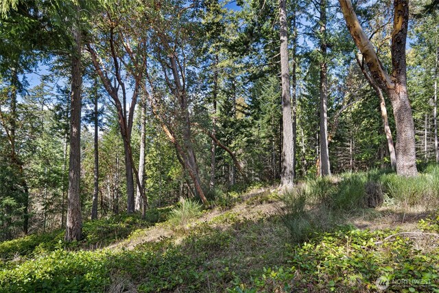 0LOT3 Quiet Pl, Friday Harbor, WA 98250