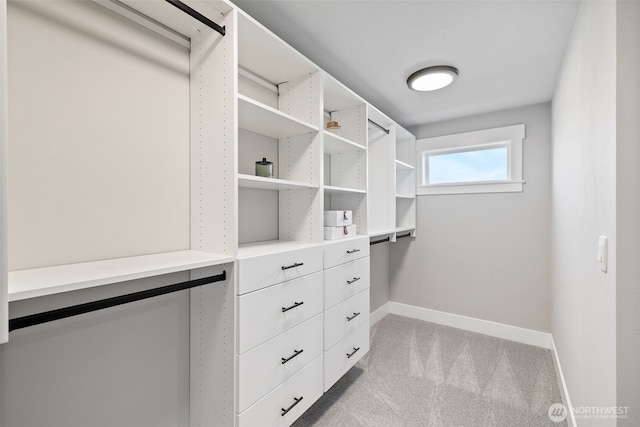 spacious closet featuring light colored carpet