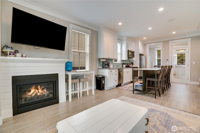 interior space with light hardwood / wood-style floors, crown molding, and sink